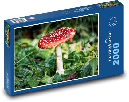 Mochomůrka - jedovatá houba - Puzzle 2000 dílků, rozměr 90x60 cm