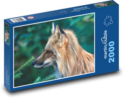 Liška - divoká, zvěř - Puzzle 2000 dílků, rozměr 90x60 cm