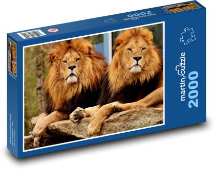 Lions on the Rock - Puzzle 2000 pieces, size 90x60 cm 