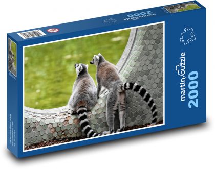 Lemur - Affe im Zoo - Puzzle - 2000 Teile