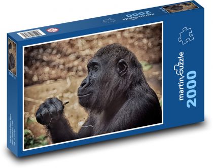 Opice - gorila, savec - Puzzle 2000 dílků, rozměr 90x60 cm