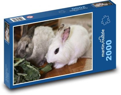 Zakrslý králík - domácí zvíře - Puzzle 2000 dílků, rozměr 90x60 cm