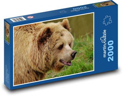 Bär im Zoo - Puzzle - 2000 Teile