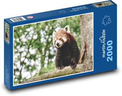 Panda - červená, zviera - Puzzle 2000 dielikov, rozmer 90x60 cm 