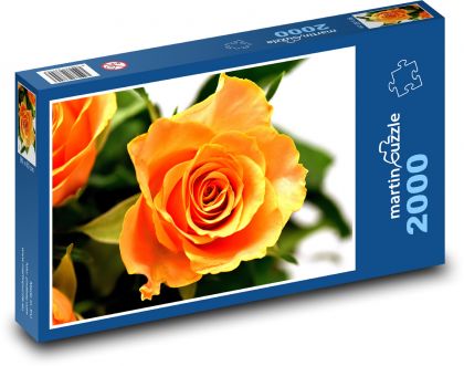 Oranžová ruža - Puzzle 2000 dielikov, rozmer 90x60 cm 