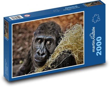 Gorilla - Primat, Affe - Puzzle - 2000 Teile