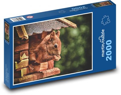 Squirrel - rodent, garden - Puzzle 2000 pieces, size 90x60 cm 