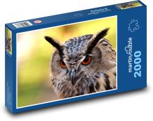 Sova - pták, peří Puzzle 2000 dílků - 90 x 60 cm