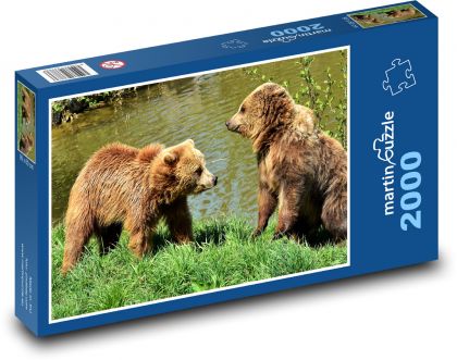 Medveď - dravá šelma - Puzzle 2000 dielikov, rozmer 90x60 cm 