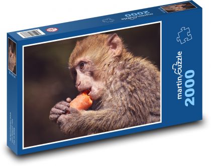 Monkey - cub, mammal - Puzzle 2000 pieces, size 90x60 cm 