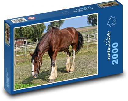 Kôň - jazdecký, zviera - Puzzle 2000 dielikov, rozmer 90x60 cm 