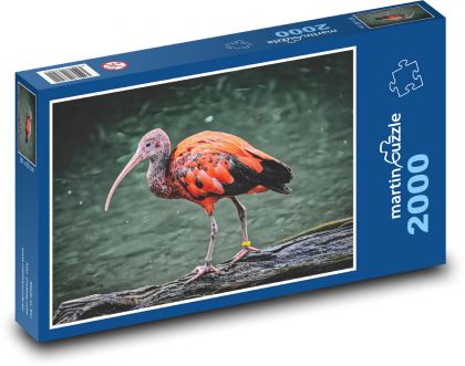Ibisküken - Puzzle - 2000 Teile
