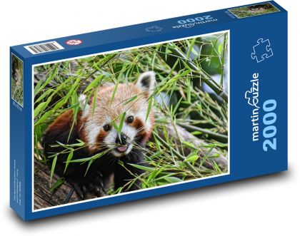 Panda - červená, medvedia mačka - Puzzle 2000 dielikov, rozmer 90x60 cm 