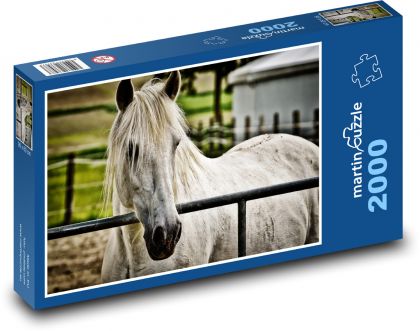 Kůň v ohradě - puzzle 2000 dílků
