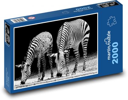 Zebras - Africa, zoo - Puzzle 2000 pieces, size 90x60 cm 