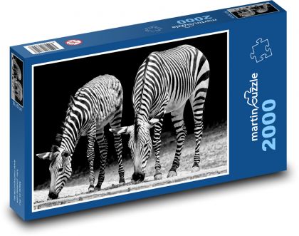 Zebry - Afrika, zoo - Puzzle 2000 dílků, rozměr 90x60 cm
