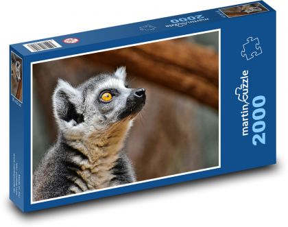 Lemur - Zoo, Tier - Puzzle - 2000 Teile