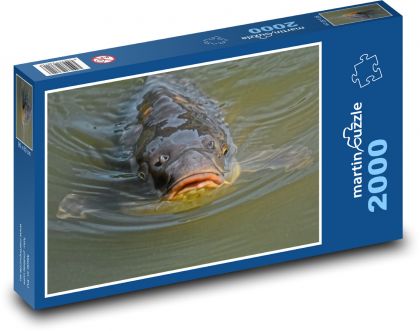 Kapor - rybník, ryba - Puzzle 2000 dielikov, rozmer 90x60 cm 