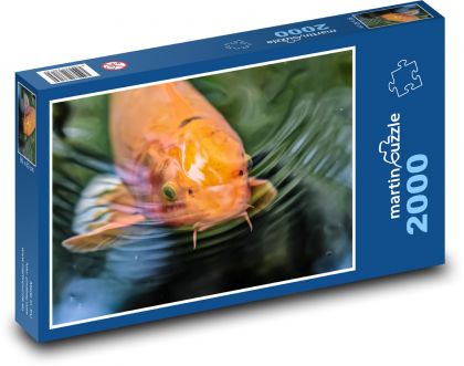 Koi - japonská ryba - puzzle 2000 dílků