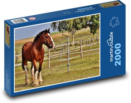 Koń - zagroda, jazda konna - Puzzle 2000 elementów, rozmiar 90x60 cm