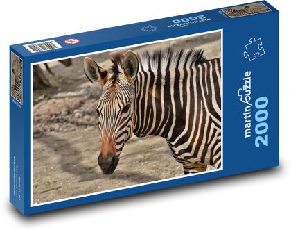 Zebra - dzikie zwierzę - Puzzle 2000 elementów, rozmiar 90x60 cm
