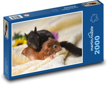 Squirrel - cubs, babies - Puzzle 2000 pieces, size 90x60 cm 