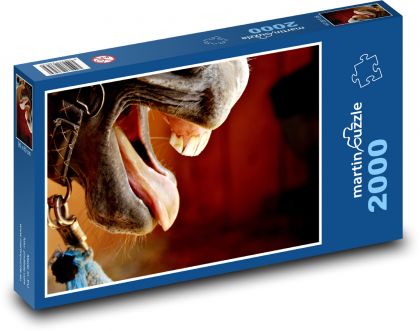 Kůň - zvíře, zuby - Puzzle 2000 dílků, rozměr 90x60 cm