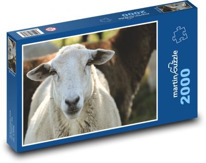 Ovce - zviera, pastvina - Puzzle 2000 dielikov, rozmer 90x60 cm 