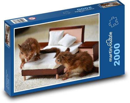 Eichhörnchen - Jungtiere, Tiere - Puzzle - 2000 Teile