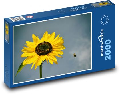 Slnečnica - včela, kvet - Puzzle 2000 dielikov, rozmer 90x60 cm 