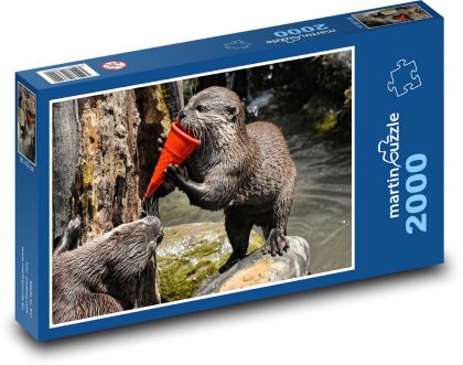 Wydra - ssak, zwierzę - Puzzle 2000 elementów, rozmiar 90x60 cm