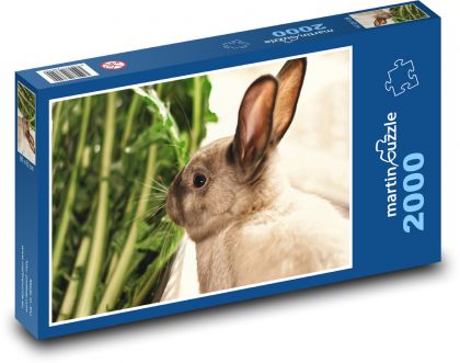 Rabbit - a pet - Puzzle 2000 pieces, size 90x60 cm 