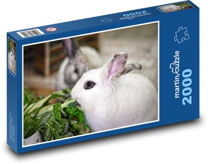 Zakrpatený králik - domáce zviera - Puzzle 2000 dielikov, rozmer 90x60 cm 