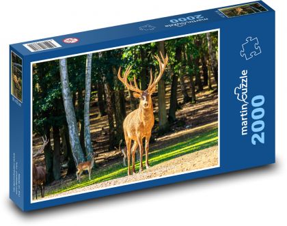 Divoká zvěř - jelen, zvíře - Puzzle 2000 dílků, rozměr 90x60 cm