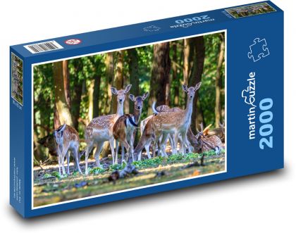 Příroda - divoká zvěř - Puzzle 2000 dílků, rozměr 90x60 cm