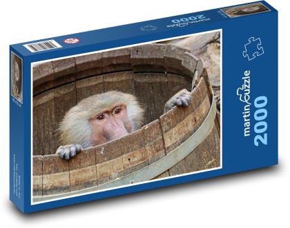 Monkey - baboon, animal - Puzzle 2000 pieces, size 90x60 cm 