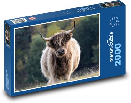 Rind, Stier, Hörner - Puzzle - 2000 Teile