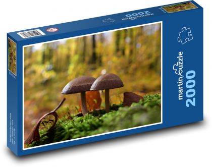 Houba - muchomůrka, les - puzzle 2000 dílků