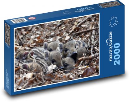 Dzikie świnie - prosięta - Puzzle 2000 elementów, rozmiar 90x60 cm