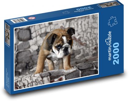Buldog - šteňa, psík - Puzzle 2000 dielikov, rozmer 90x60 cm 