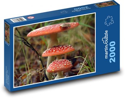 Muchotrávka, červená, huba, les - Puzzle 2000 dielikov, rozmer 90x60 cm 