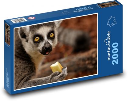 Lemur - animal, monkey - Puzzle 2000 pieces, size 90x60 cm 