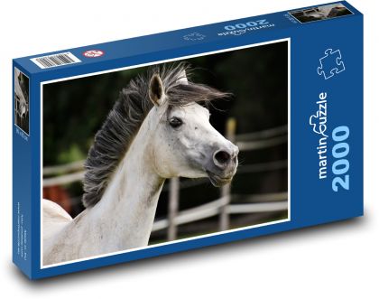 Biely kôň - zviera, jazdectvo - Puzzle 2000 dielikov, rozmer 90x60 cm 