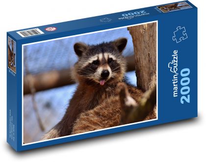 Mýval - cicavec, zviera - Puzzle 2000 dielikov, rozmer 90x60 cm 