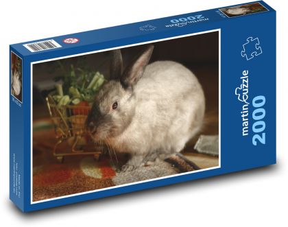 Zwergkaninchen - Haustier, Säugetier - Puzzle - 2000 Teile