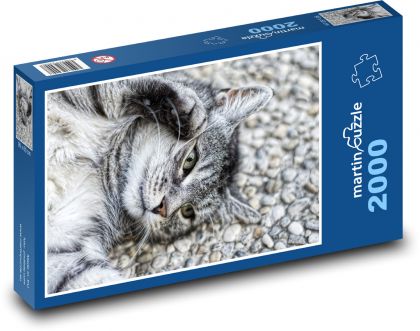 Domácí kočka - ležící zvíře - Puzzle 2000 dílků, rozměr 90x60 cm