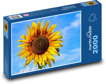 Slunečnice - žlutá květina - Puzzle 2000 dílků, rozměr 90x60 cm