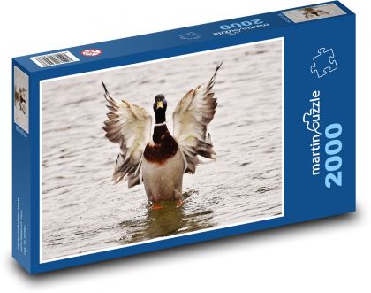 Duck - water bird - Puzzle 2000 pieces, size 90x60 cm 