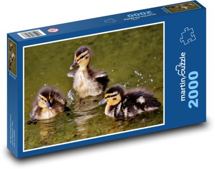 Krzyżówki - młode, wodne - Puzzle 2000 elementów, rozmiar 90x60 cm