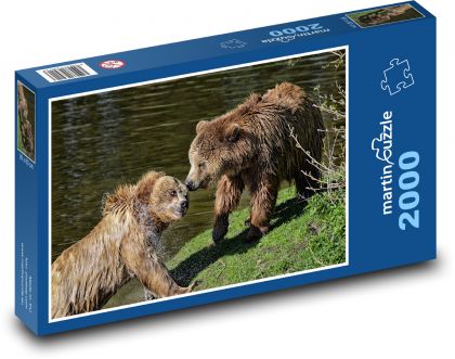 Medvěd hnědý - zvíře, hra - Puzzle 2000 dílků, rozměr 90x60 cm